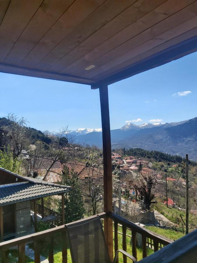 Πέτρινο Όραμα Kotronion (Trikala) Exterior foto