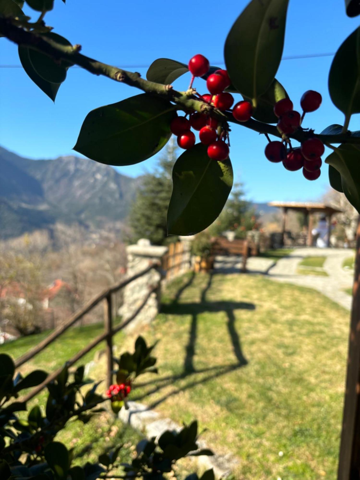 Πέτρινο Όραμα Kotronion (Trikala) Exterior foto